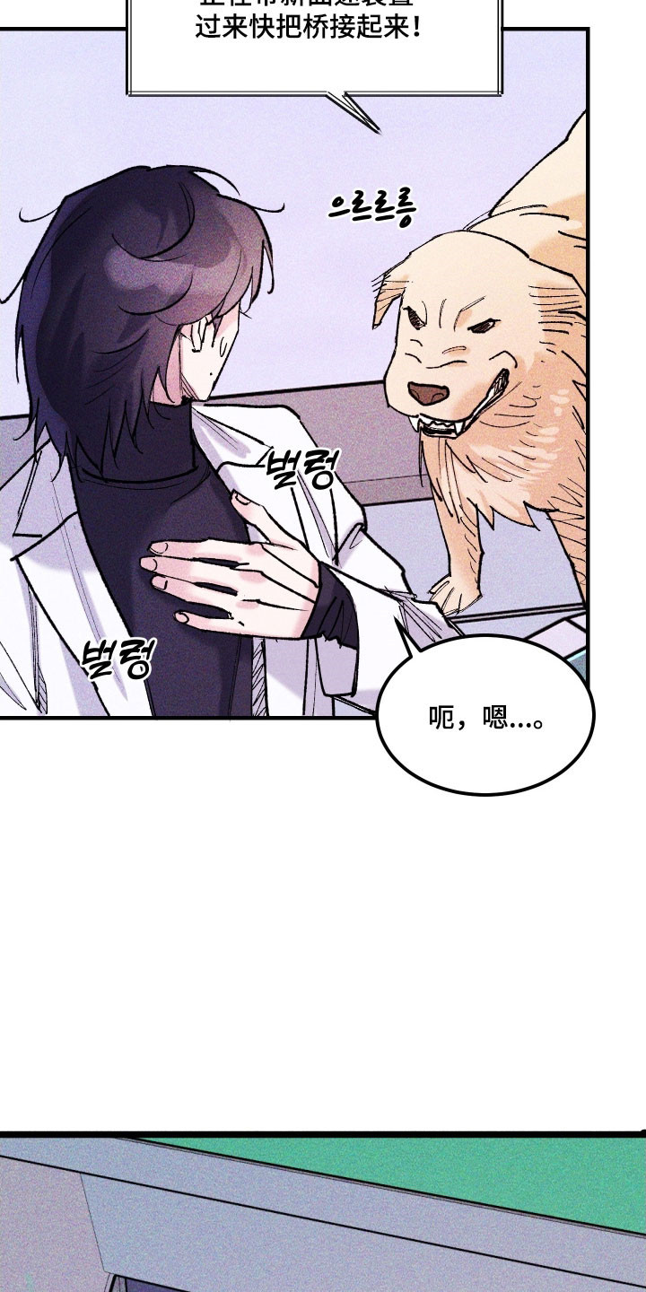 紫罗兰协议漫画,第33章：她的点子2图