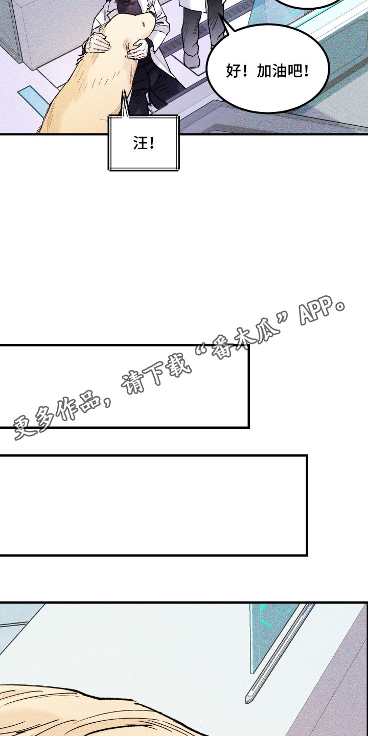 紫罗兰协议漫画,第34章：长像相识4图