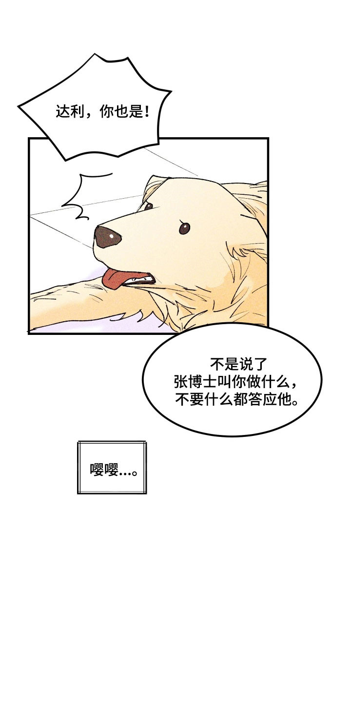 紫罗兰协议漫画,第23章：超出限度5图