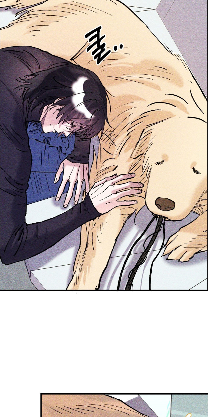 紫罗兰协议漫画,第34章：长像相识5图