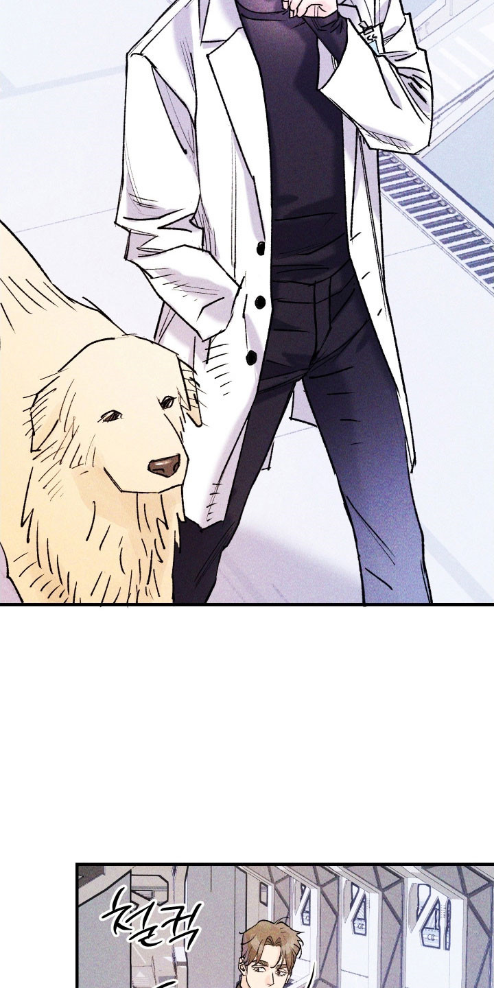 紫罗兰永恒花园备忘录漫画,第25章：最终武器1图