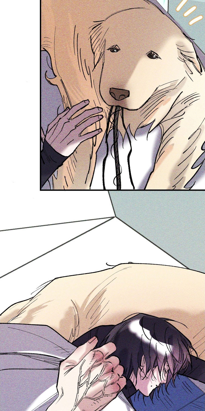 紫罗兰协议漫画,第34章：长像相识1图