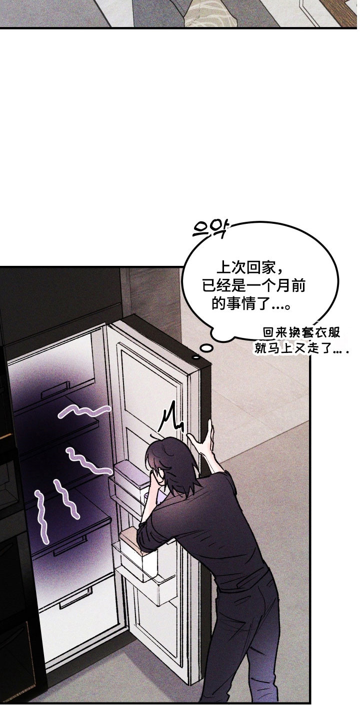紫罗兰协议漫画,第26章：应该没事5图