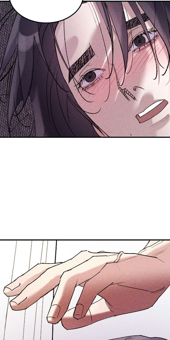 紫罗兰协议漫画,第32章：安抚下来2图