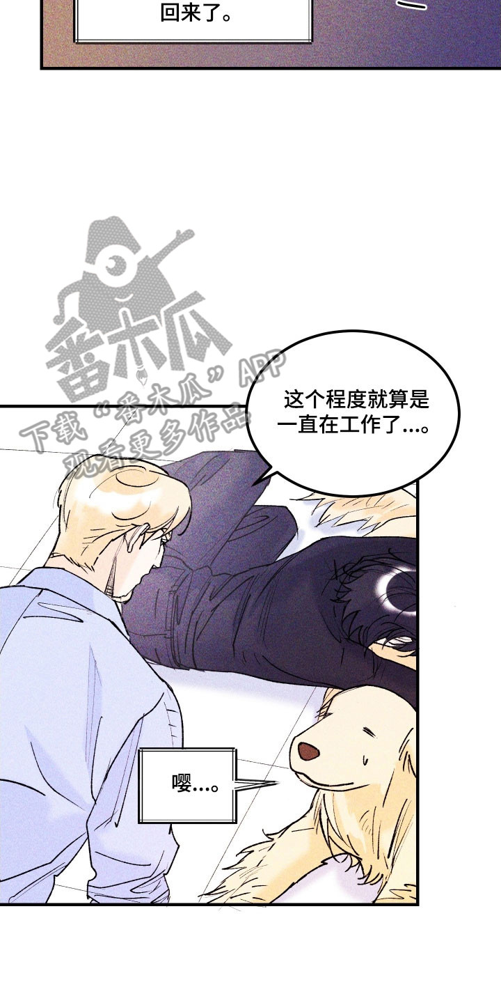 紫罗兰协议漫画,第23章：超出限度5图