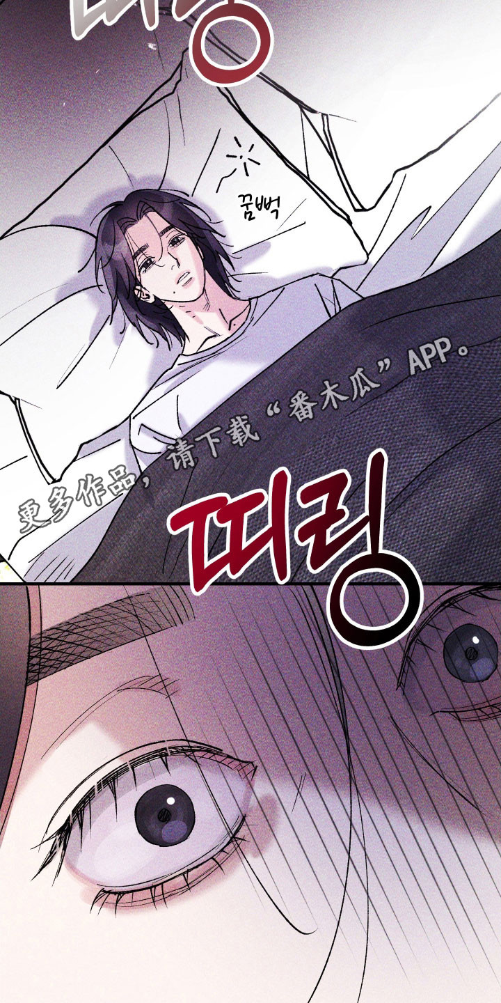 紫罗兰协议漫画,第32章：安抚下来1图