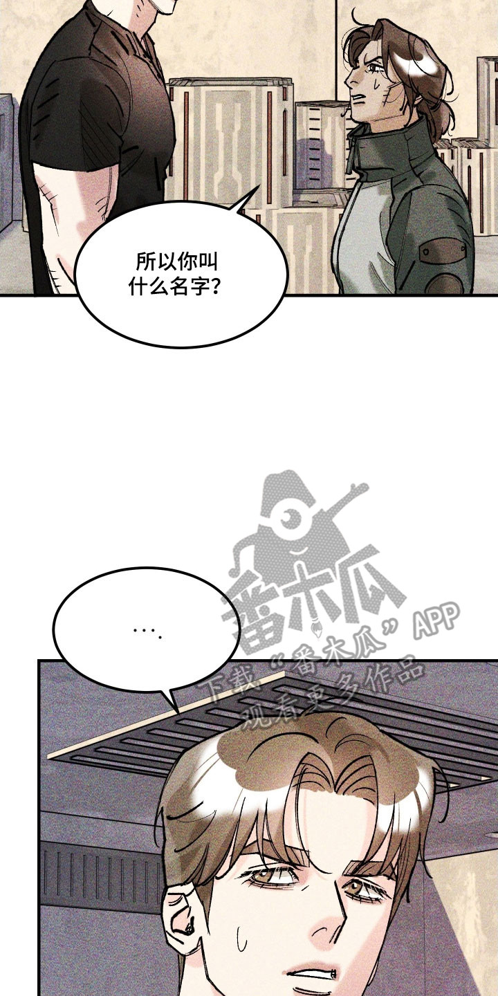 紫罗兰协议漫画,第34章：长像相识2图