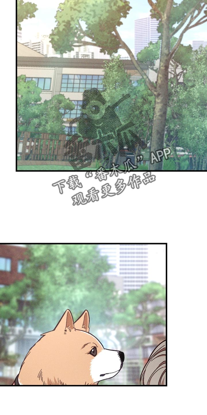 总裁的深渊契约别名漫画,第41章：太可靠了5图