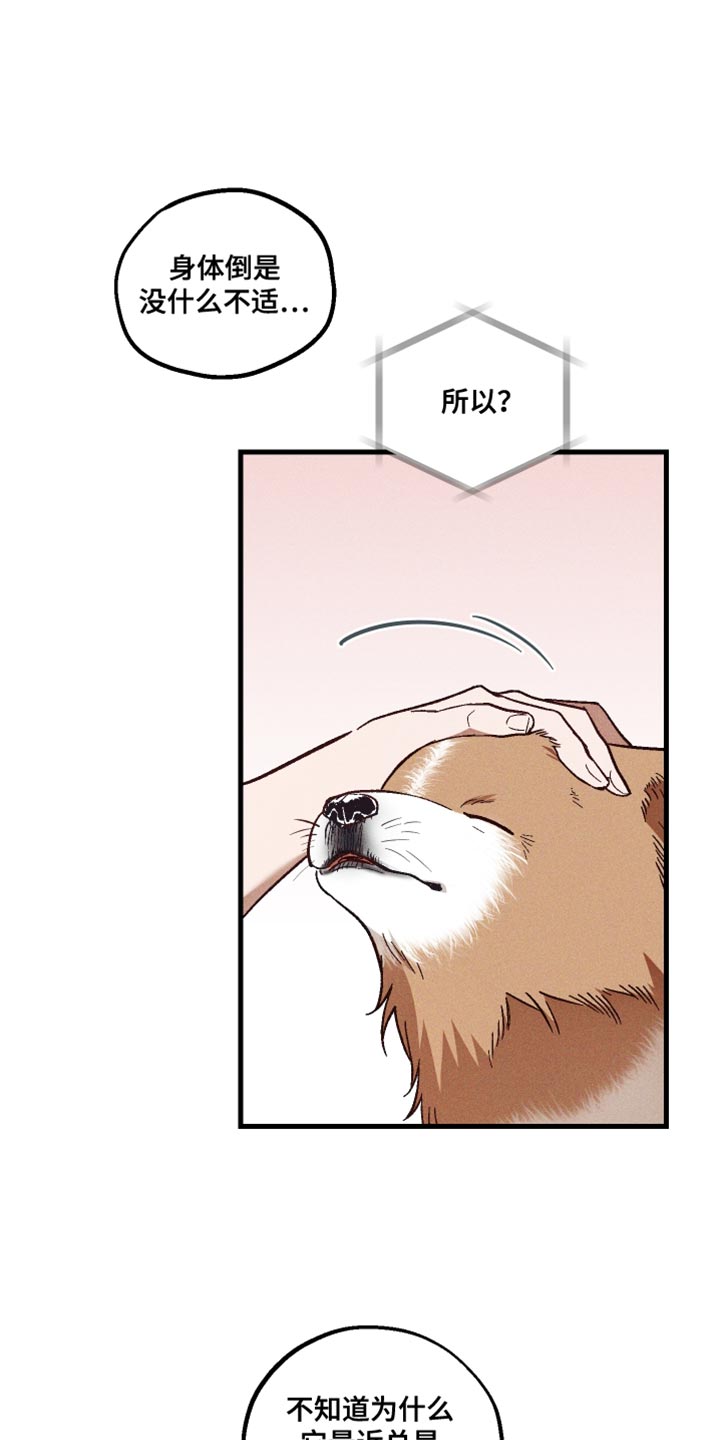 总裁的深度溺爱漫画,第33章：太忙了3图