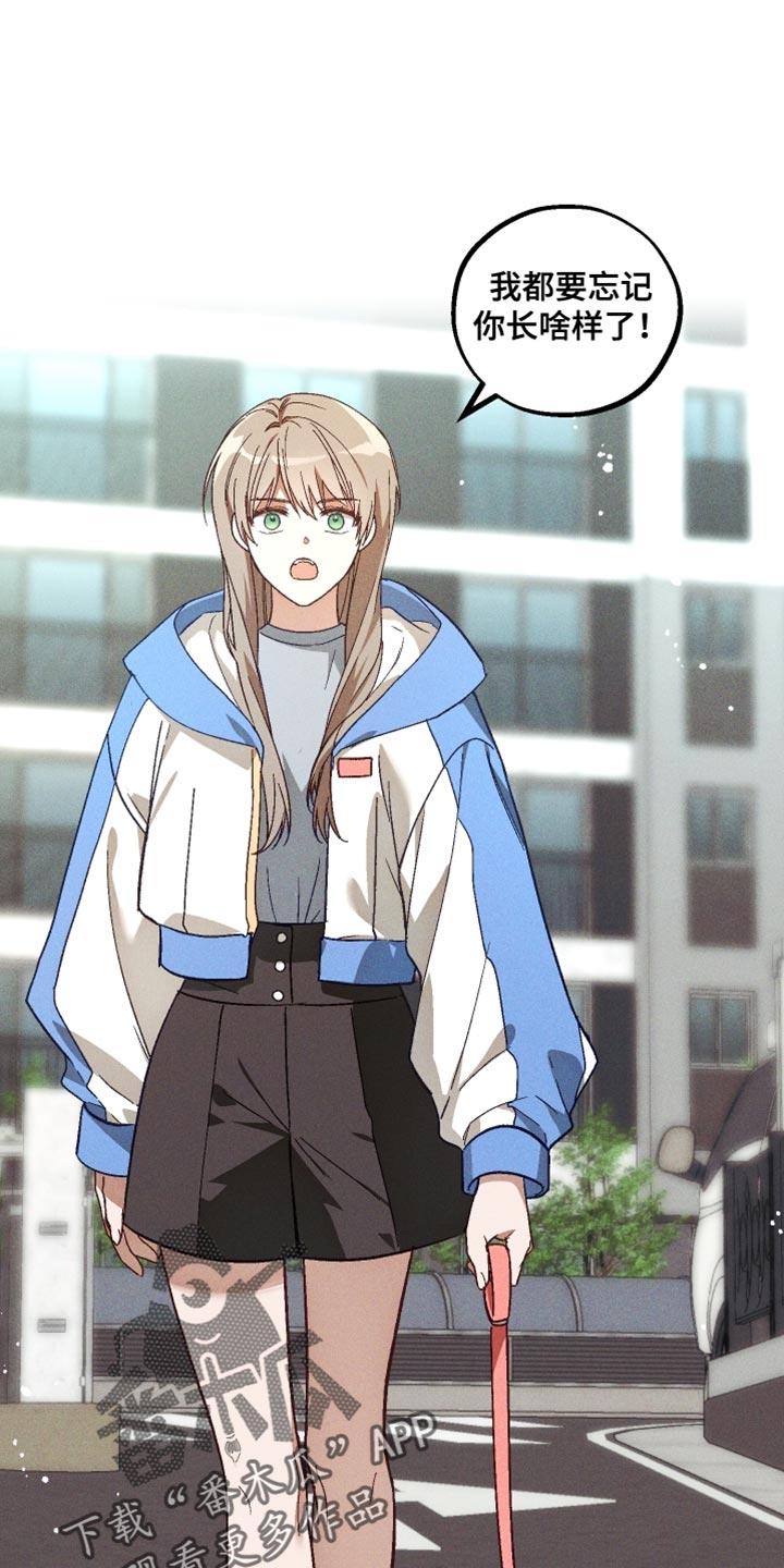 总裁的契约新娘免费阅读漫画,第38章：必要的5图