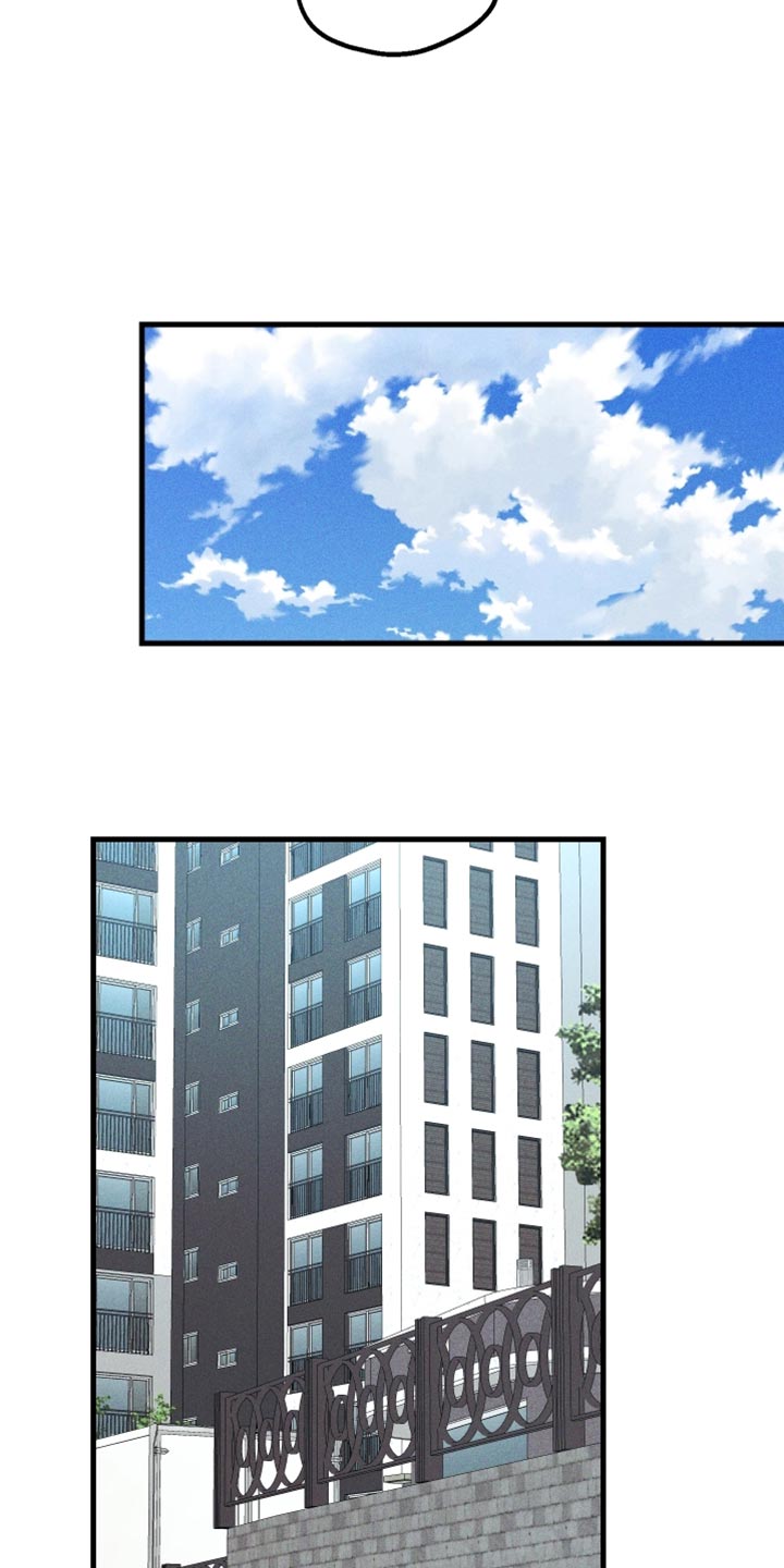 总裁的契约新娘免费阅读漫画,第38章：必要的3图