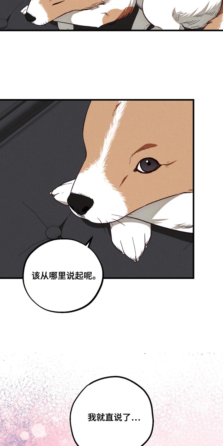 总裁的契约新娘免费阅读漫画,第34章：解释2图