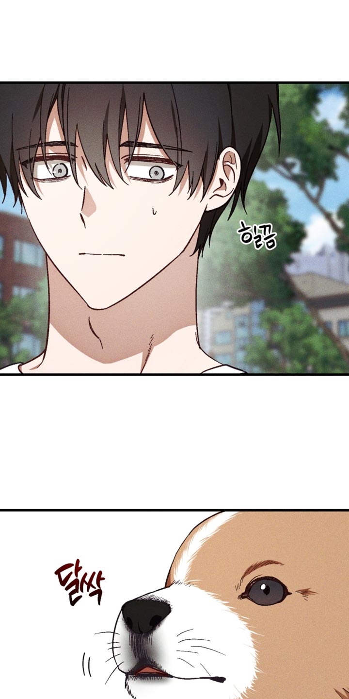 总裁的深渊契约漫画,第42章：不能冒然行动3图