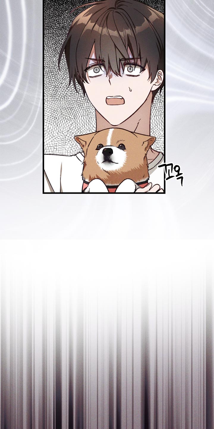 总裁的深渊契约!漫画,第44章：你这个叛徒！1图