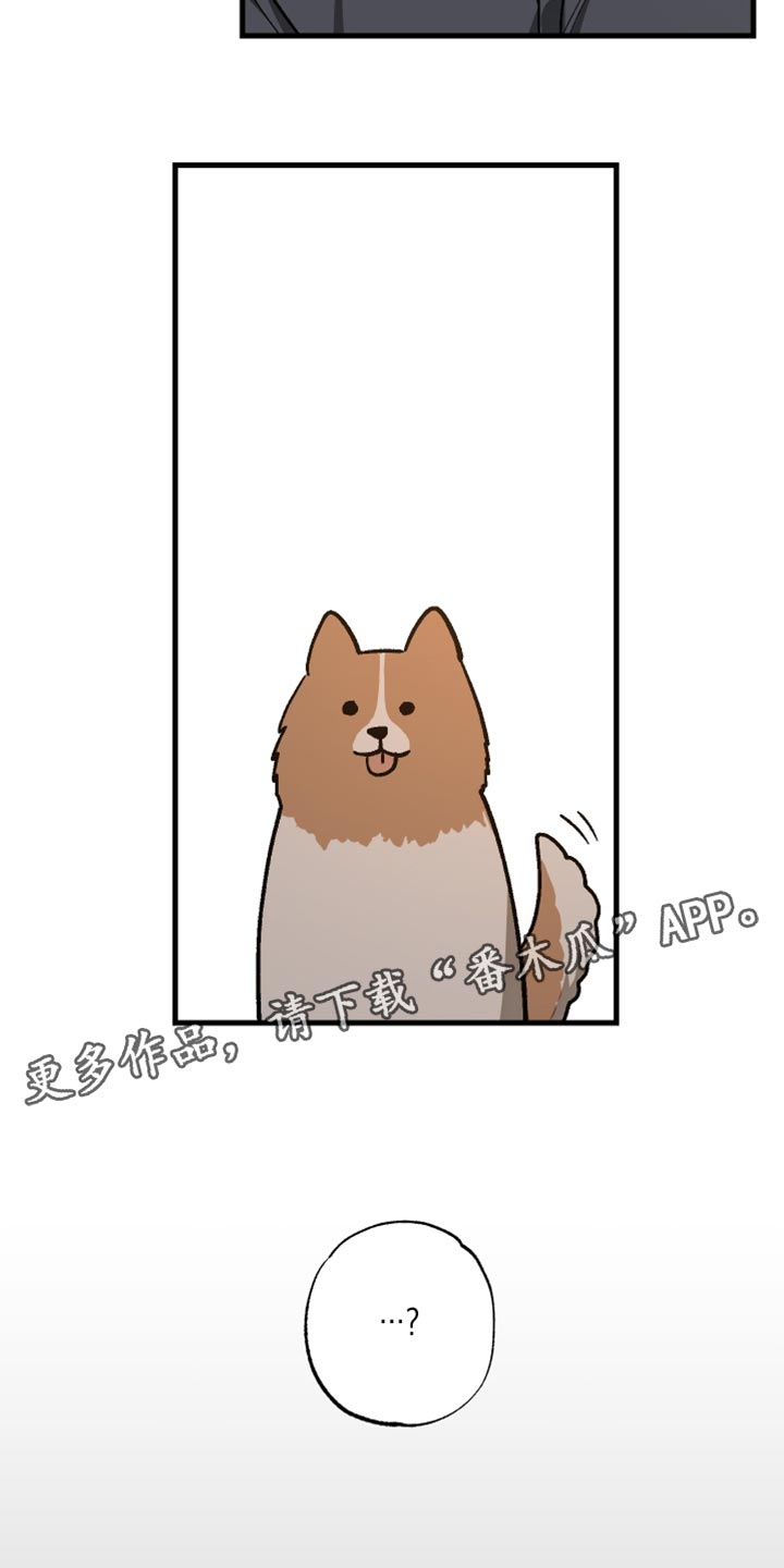 总裁的契约宠妻小说漫画,第34章：解释1图