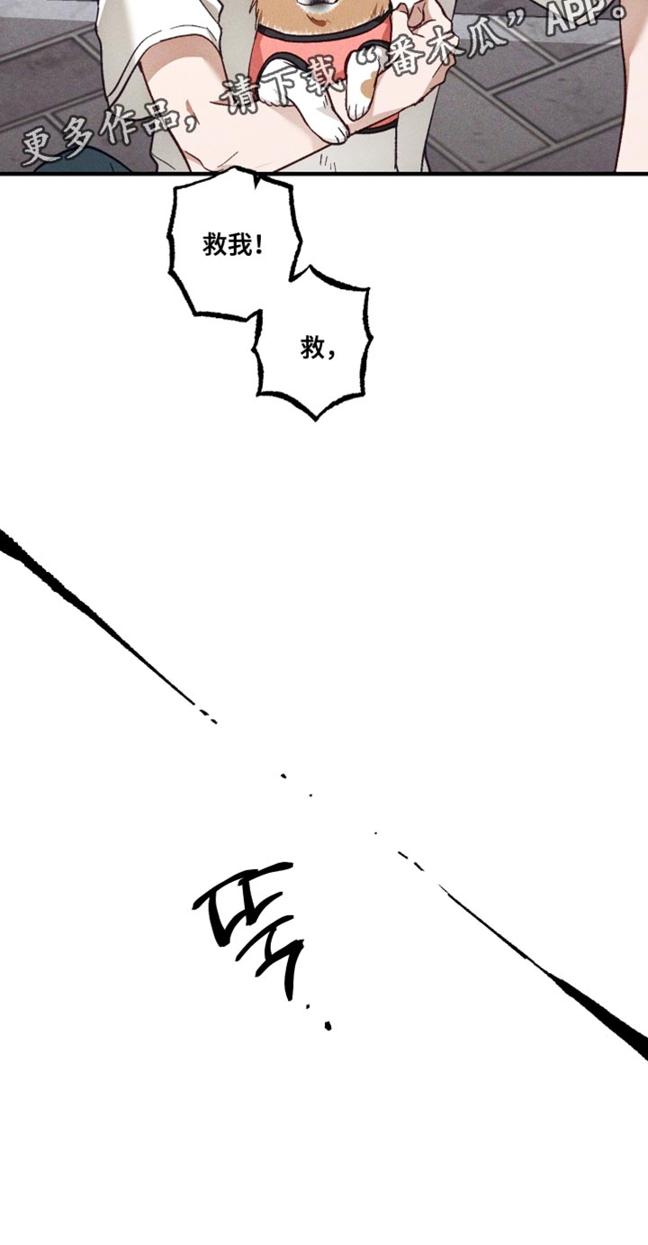 总裁的深渊契约!漫画,第44章：你这个叛徒！3图