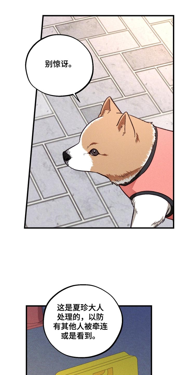 总裁的深渊契约漫画,第40章：虚弱2图