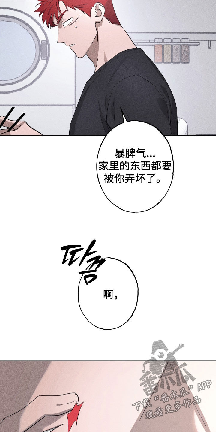 第22章：全都记得（完结）1