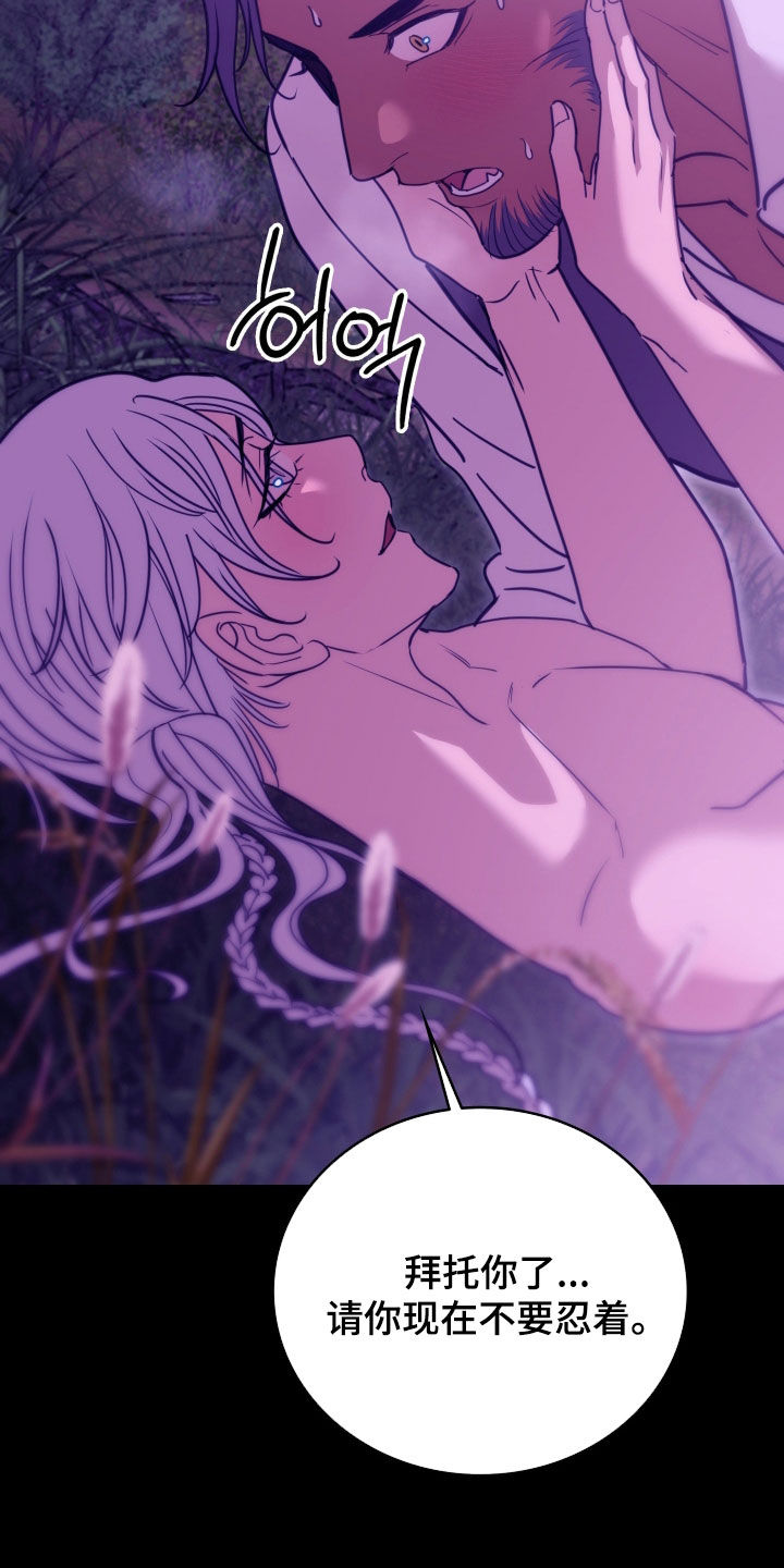 血冕之狮漫画,第33章：逃走5图