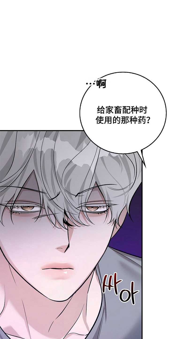 第26章：单词意识3