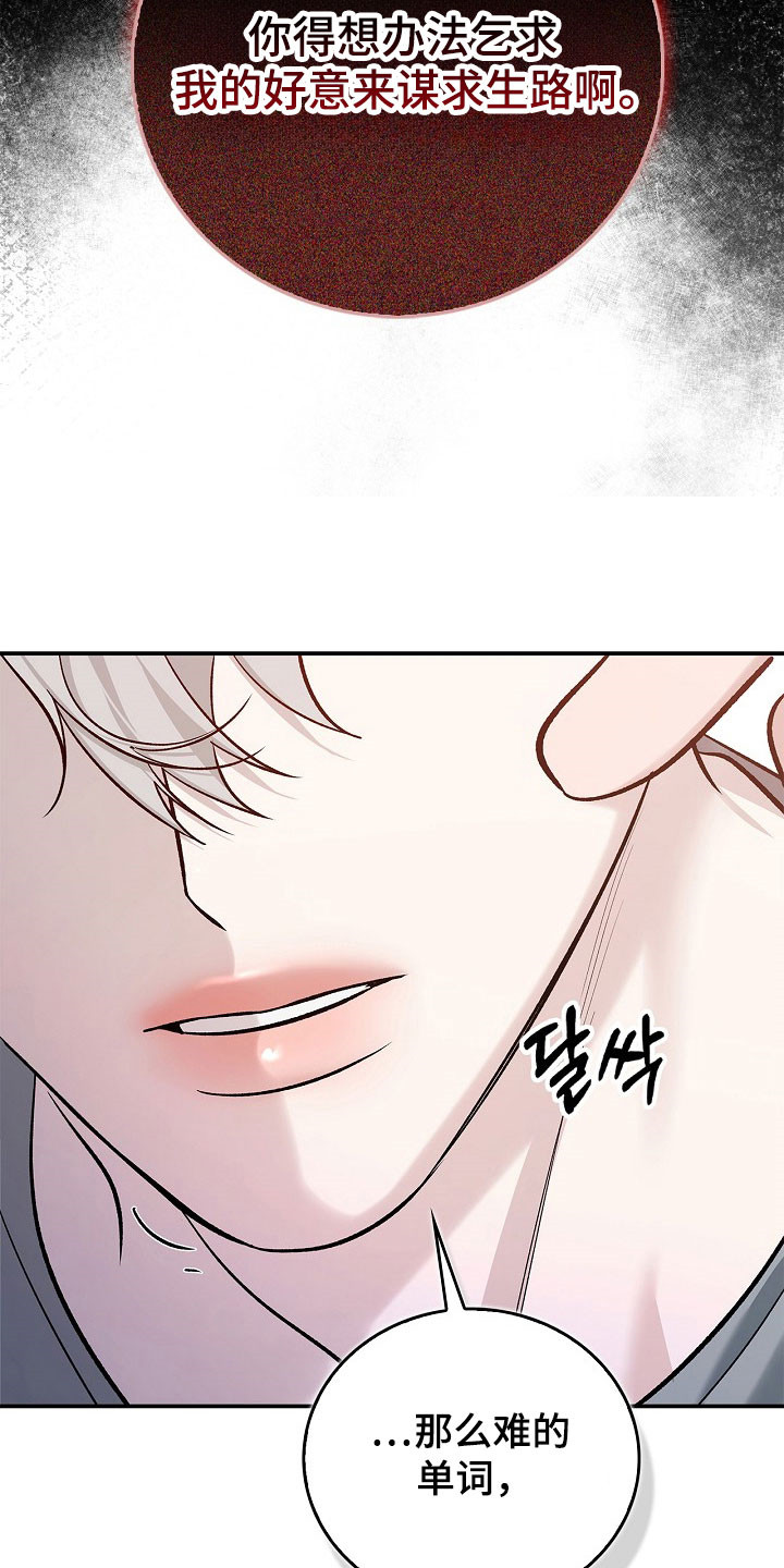 夜雾中的微光漫画,第26章：单词意识4图