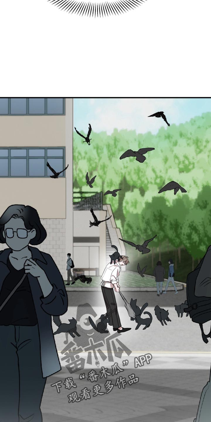 迷醉契约漫画,第14章：进化了5图