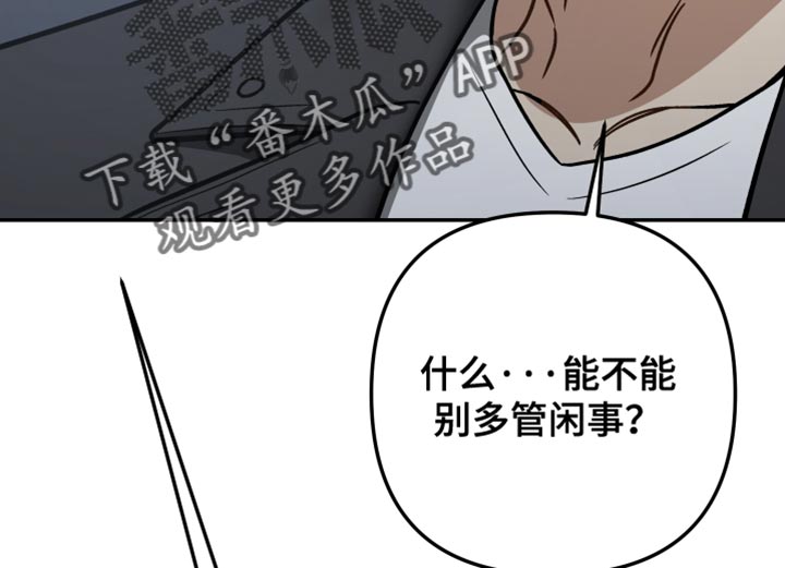 暗码图片漫画,第50章：【番外】安静地躲着5图