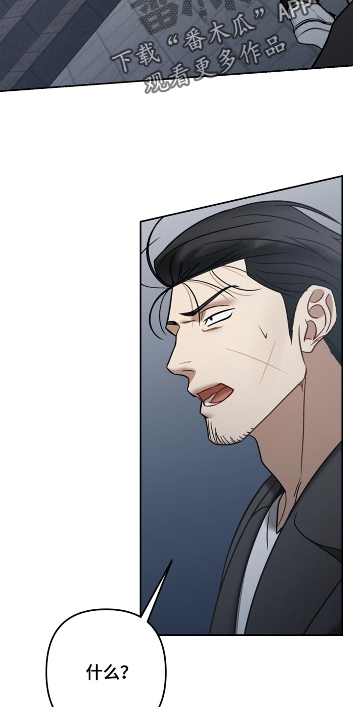 暗码图片漫画,第50章：【番外】安静地躲着1图