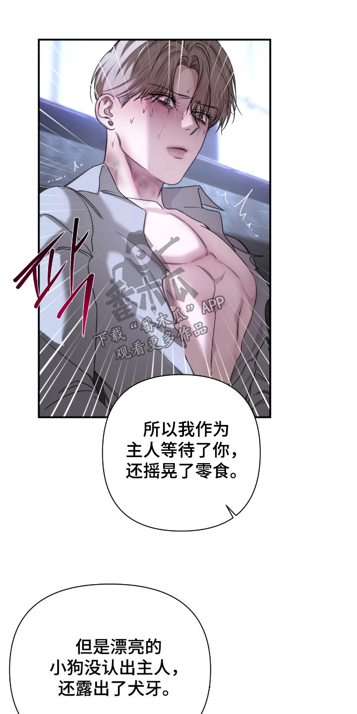 终愿囚徒恩佐人设漫画,第50章：重新开始2图