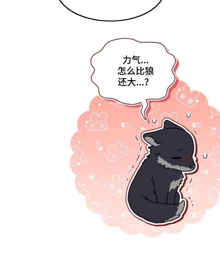 暖冬孤狼伴漫画,第18章：想要的话2图