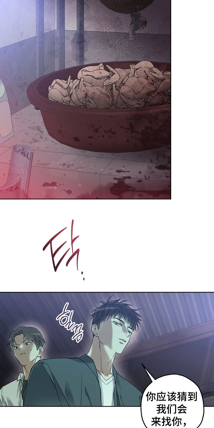 猛兽育儿书漫画,第28章：请配合调查1图