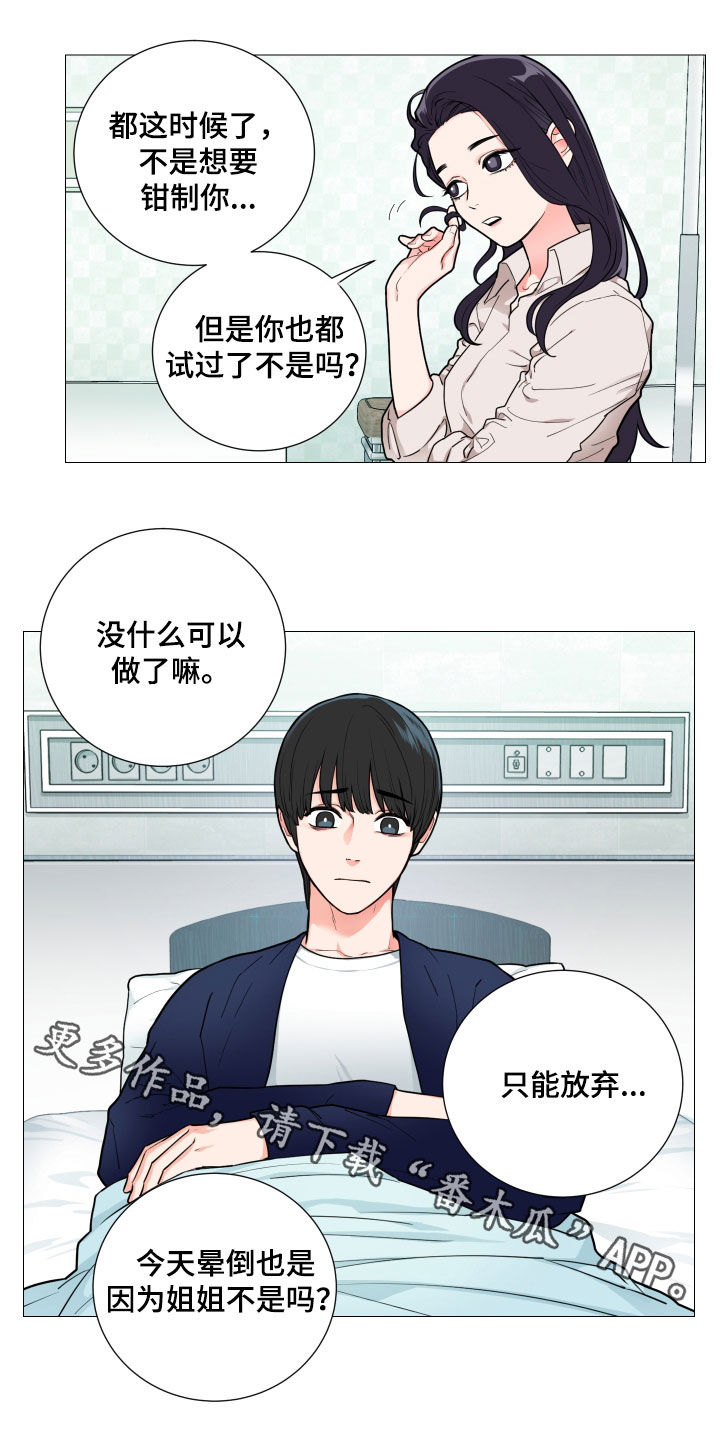囚笼之恋漫画漫画,第113章：只能放弃2图