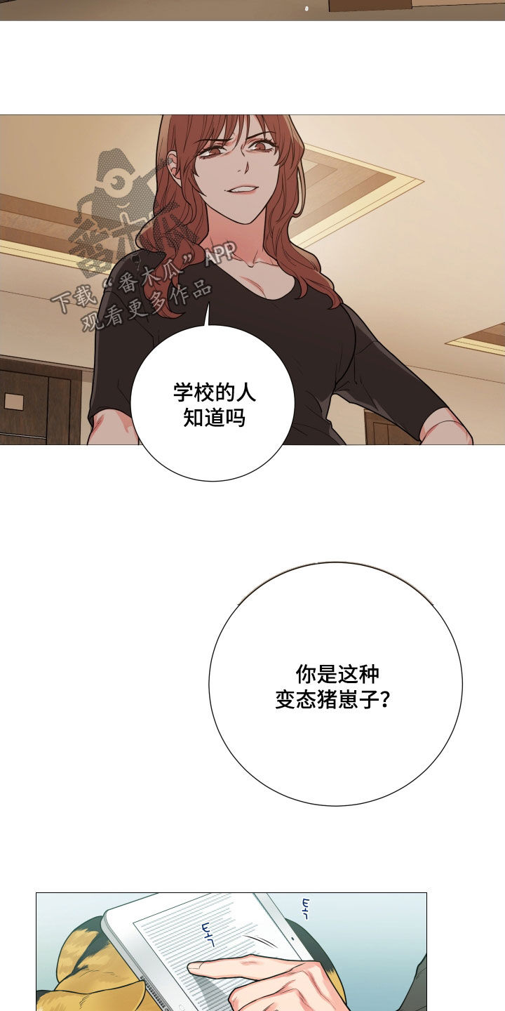 囚笼之恋漫画漫画,第117章：找上门2图