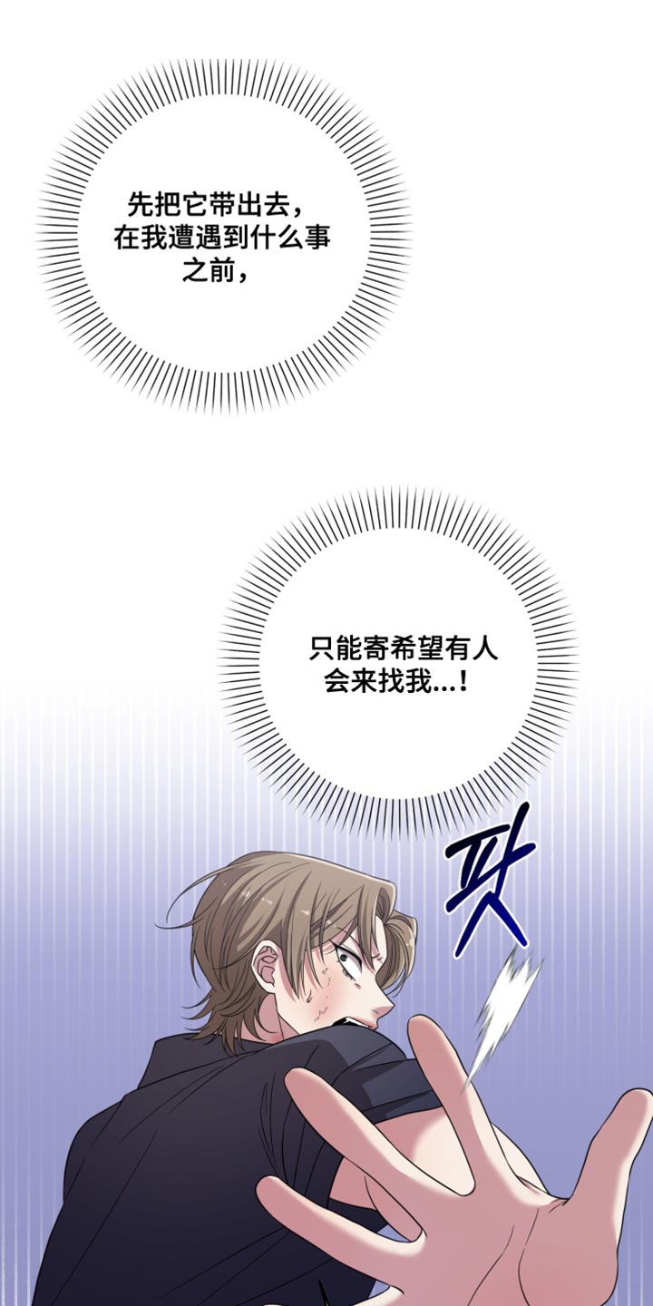 猛宠旧情漫画,第61章：全都服从我4图