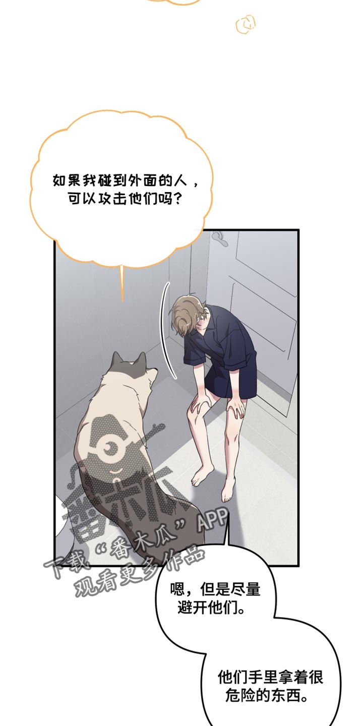 猛宠旧情漫画,第59章：尽快逃跑5图