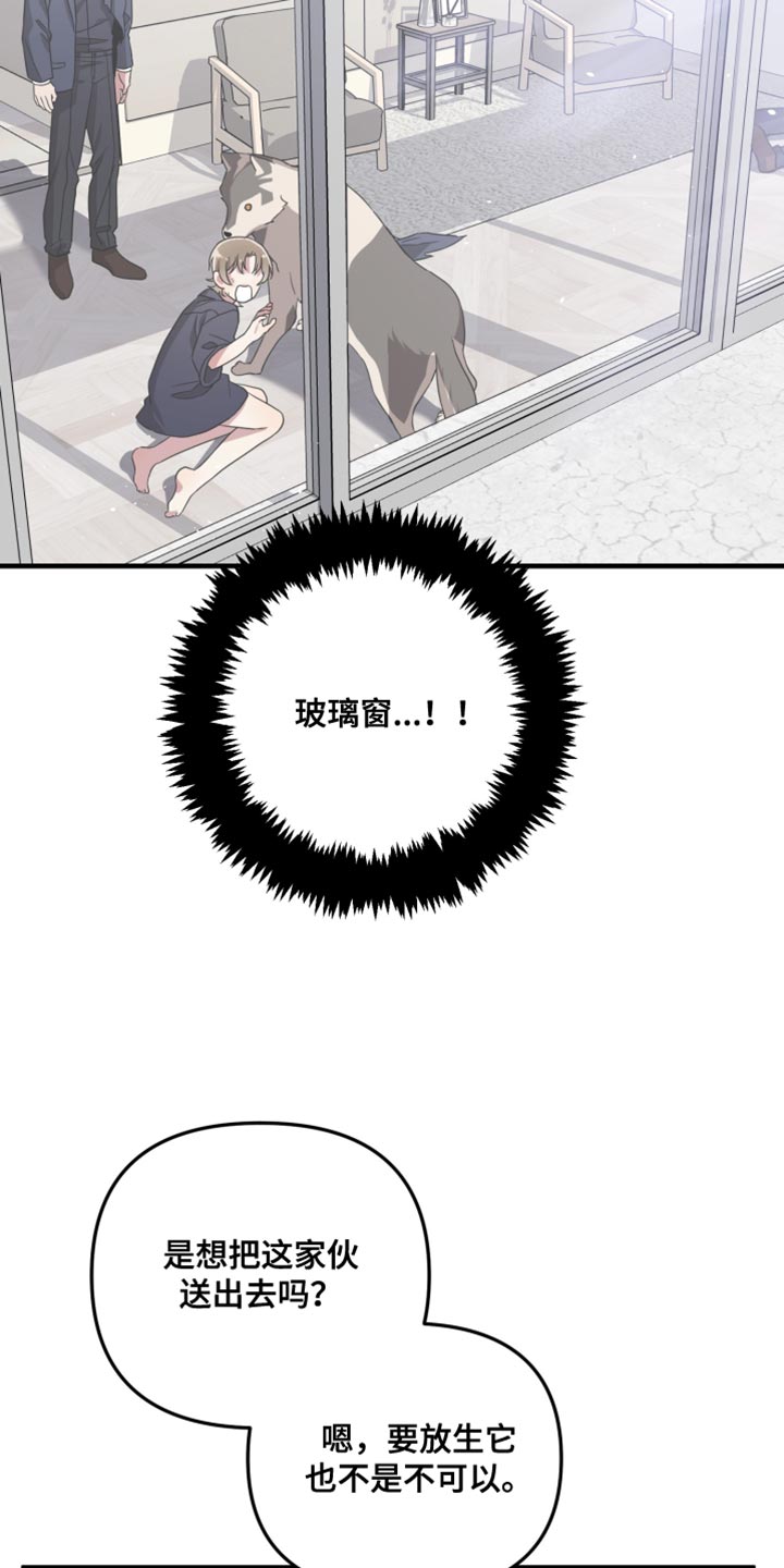 猛宠旧情漫画,第61章：全都服从我1图
