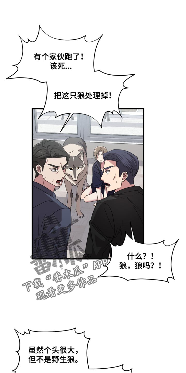 猛宠旧情漫画,第61章：全都服从我5图