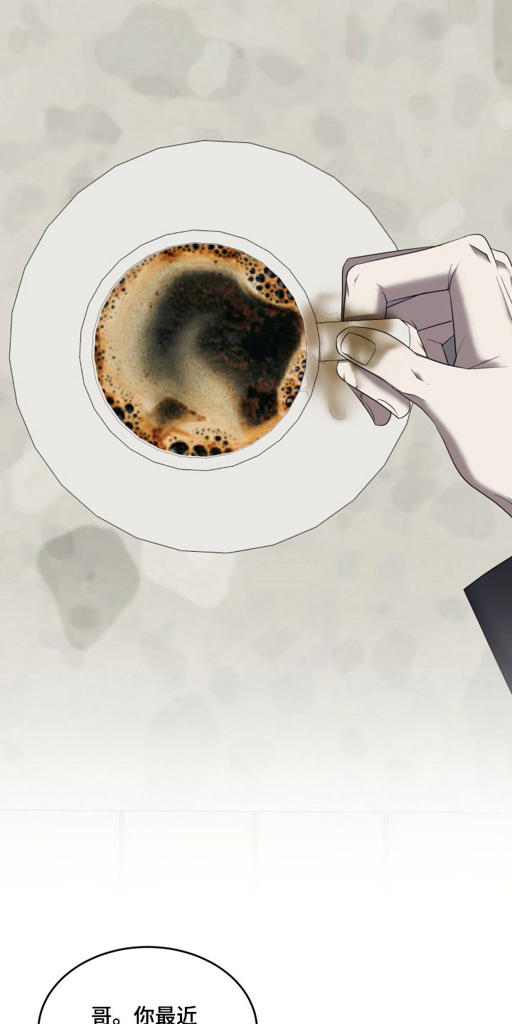 虚影一影两个影字意思相同吗漫画,第16章：一团迷雾4图