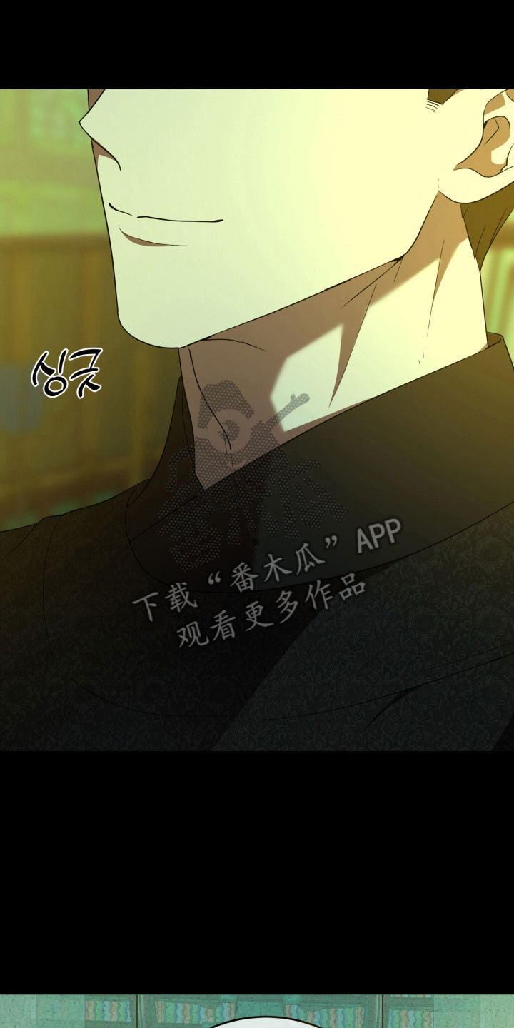 虚影一影两个影字意思相同吗漫画,第21章：秀爱秀4图