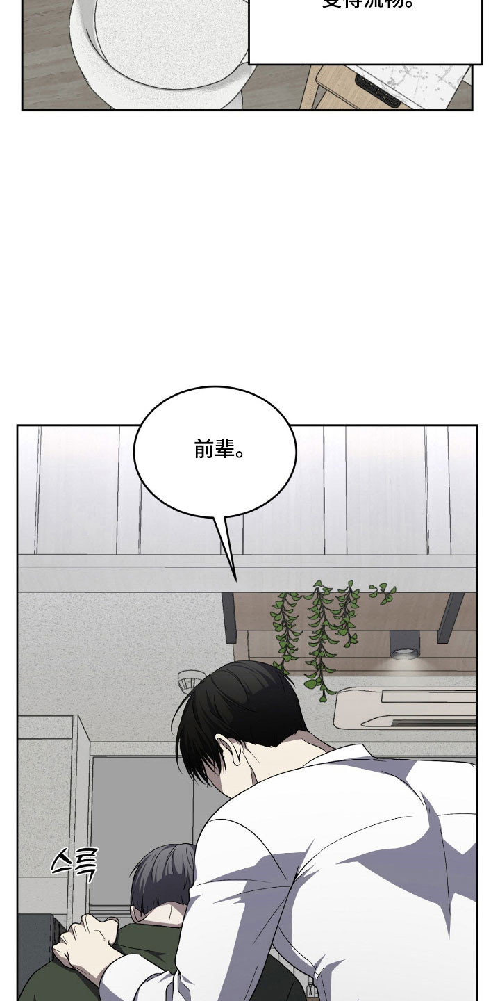 虚影一影两个影字意思相同吗漫画,第19章：都变完美3图