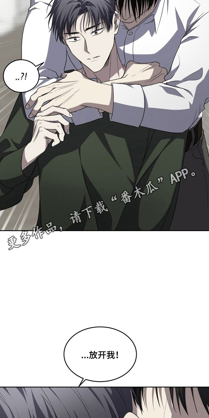 虚影一影两个影字意思相同吗漫画,第19章：都变完美1图