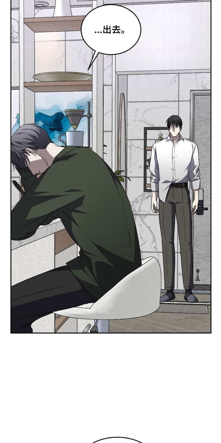 虚影一影两个影字意思相同吗漫画,第19章：都变完美1图