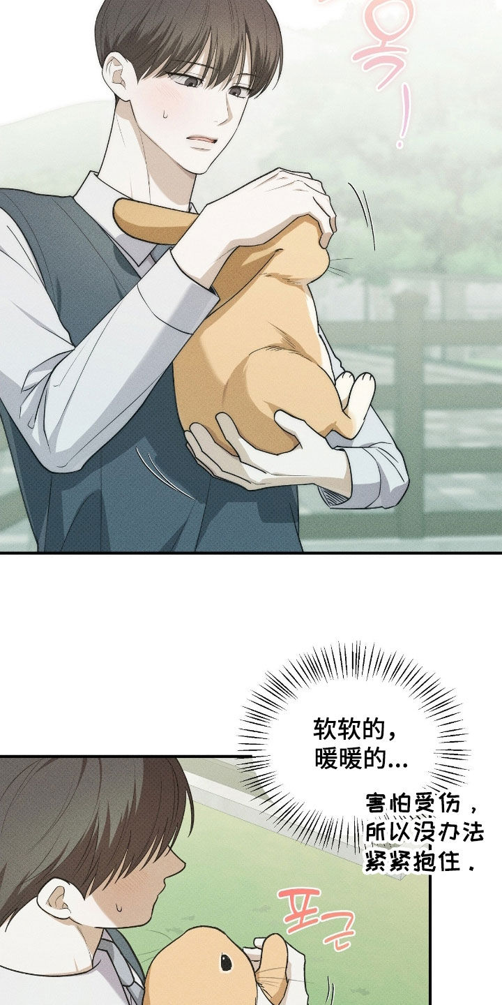 优等生的隐藏分区漫画,第66章：小动物4图