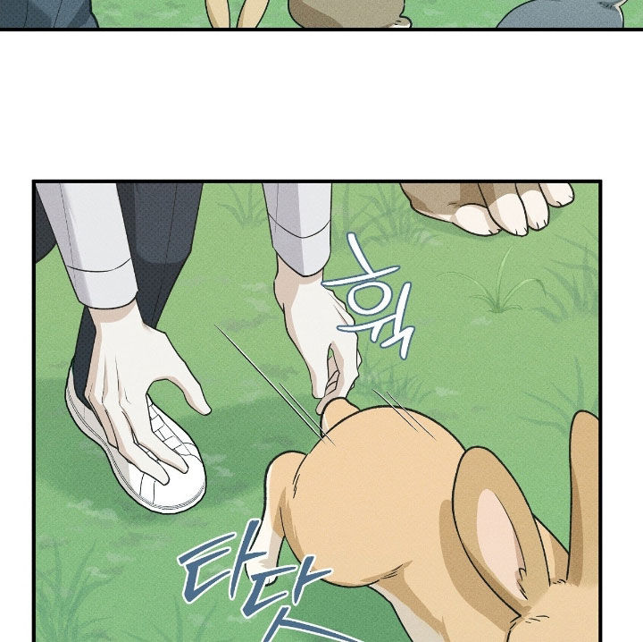 优等生的隐藏分区漫画,第66章：小动物1图