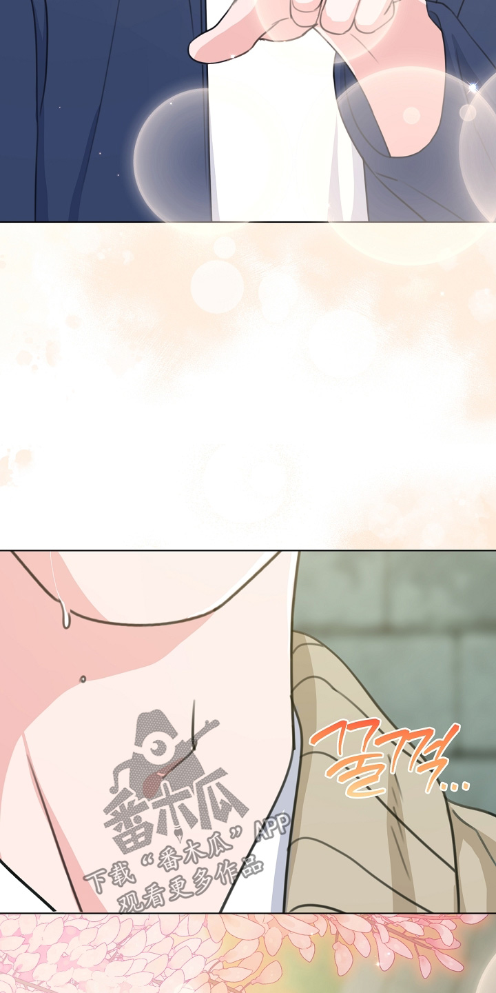 贷款等额本金和等额本息哪个划算漫画,第57章：我来决定5图