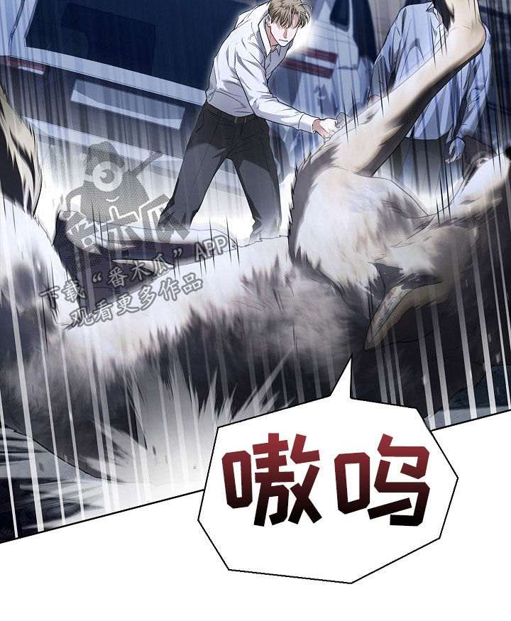 强制吻痕漫画,第48章：狼袭2图