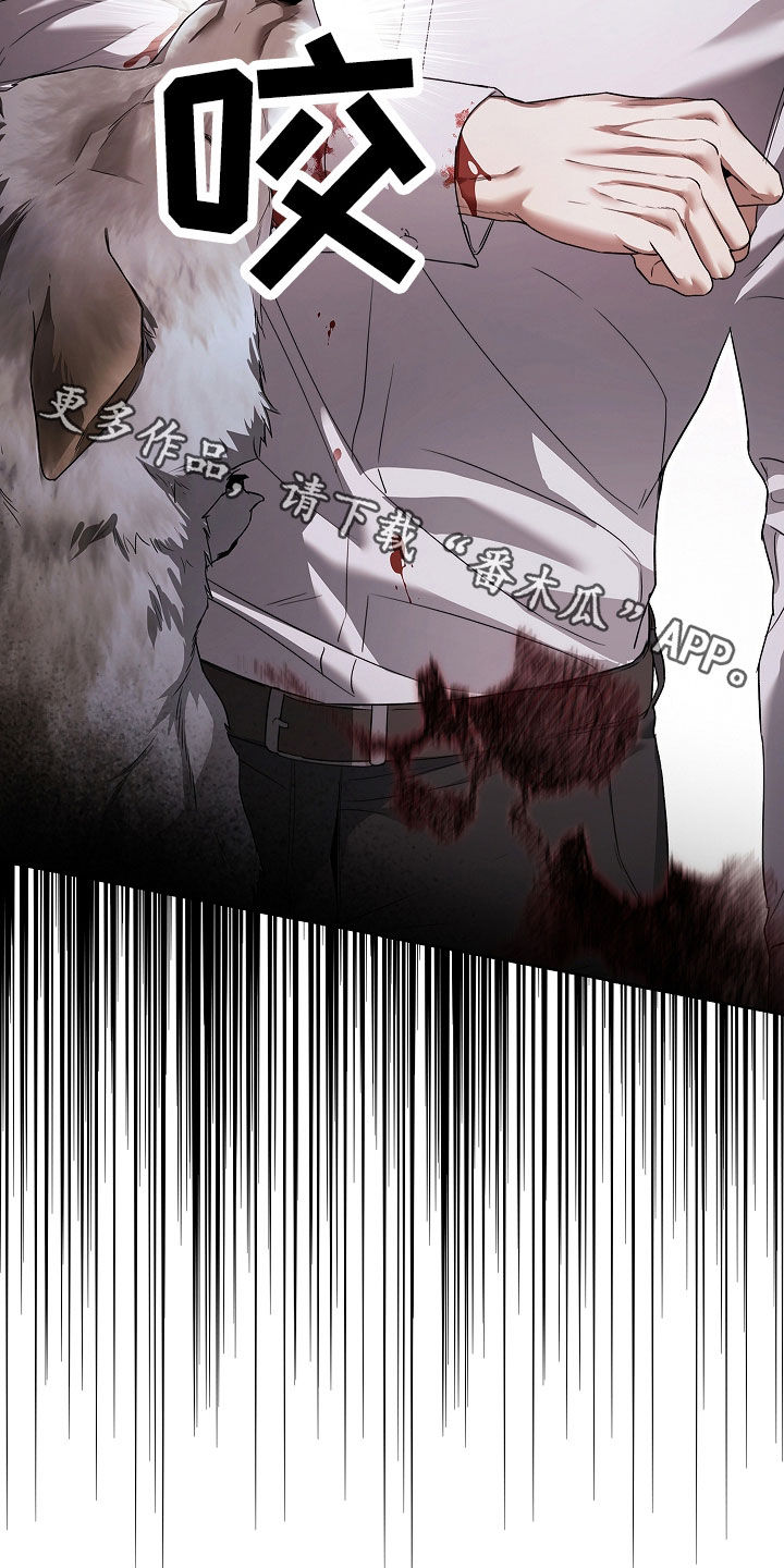 强制吻痕漫画,第48章：狼袭4图