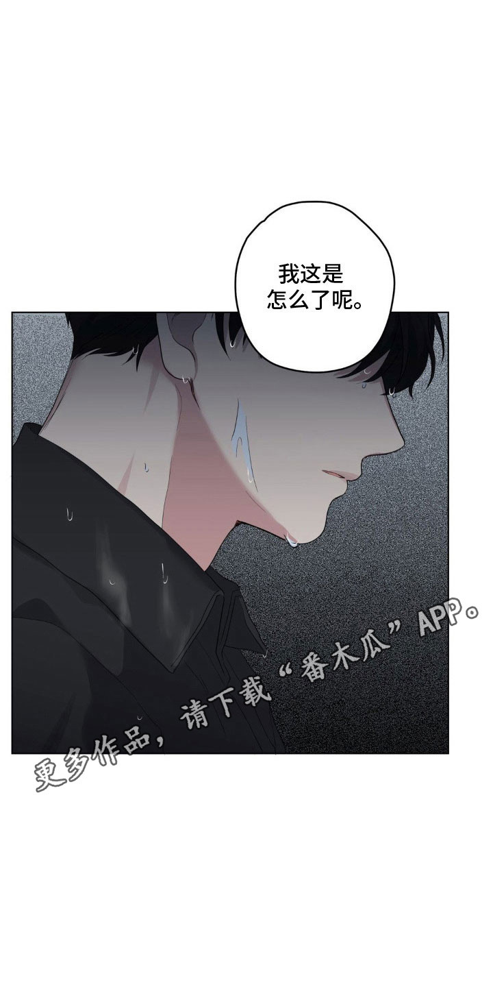 阴暗的幻觉漫画,第46章：派人跟踪3图