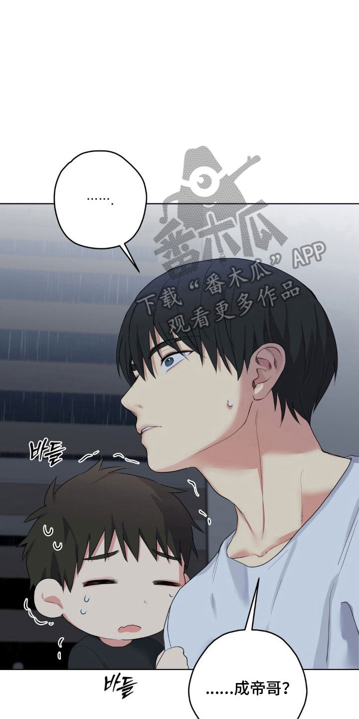 第46章：派人跟踪1