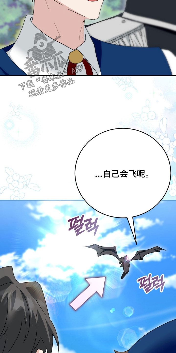 疯批大公的玩偶漫画免费下拉式漫画,第90章：巨龙4图